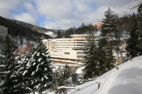 Отель Complex Curie, Яхимов